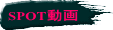 SPOT動画